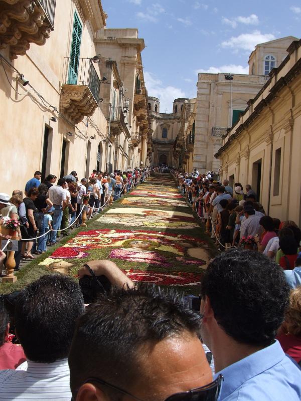 21MAG06 INFIORATA NOTO (12).JPG